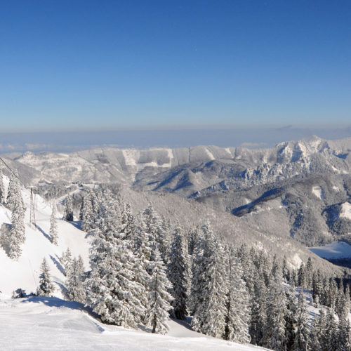 Postkartenwetter am Kasberg in Grünau im Almtal - viel Schnee und Sonne - Fotos aus dem Bilderbuch