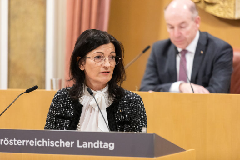 Gewaltambulanzen: KO Angerlehner verweist auf hervorragende Angebote für Betroffene